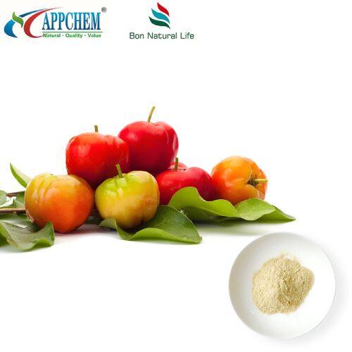 Acerola Cherry Extract factory self-produced