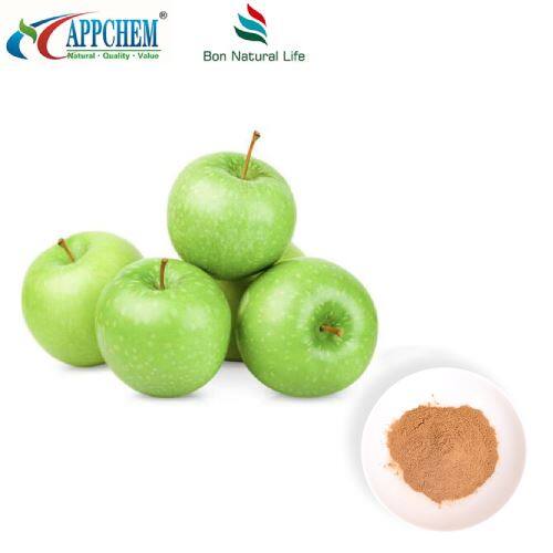 Procyanidin B2 Apple extract factory self-produced