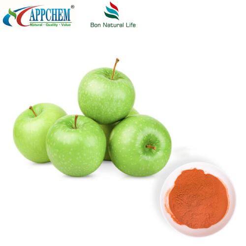 Apple Polyphenols Powder high-quality