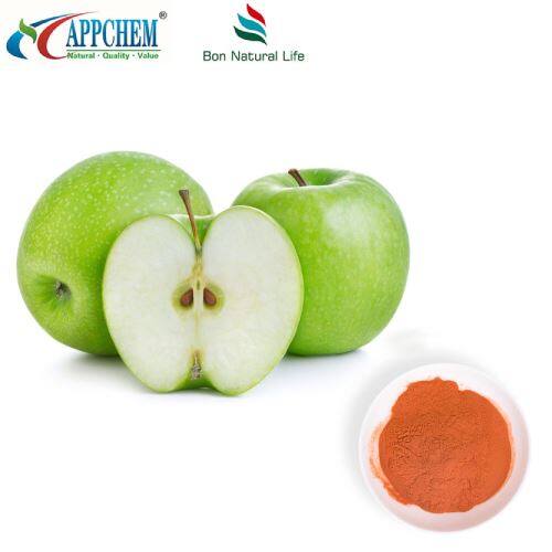 Apple Polyphenols Powder factory self-produced