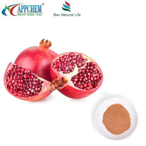 Pomegranate Extract Powder high-quality punica granatum L.
