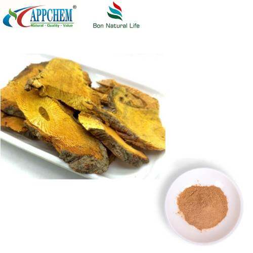 레스베라트롤 Polygonum Cuspidatum 추출 분말