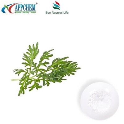 Polvere di artemisinina al 98%.