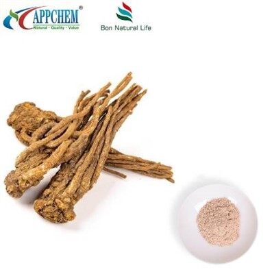Angelica Sinensis Extract Powder