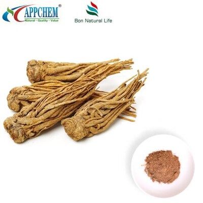 Estratto di Angelica Sinensis