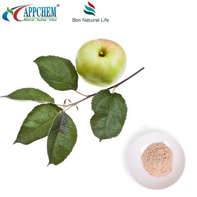 Apple Extract Phloretin Bulk Supply