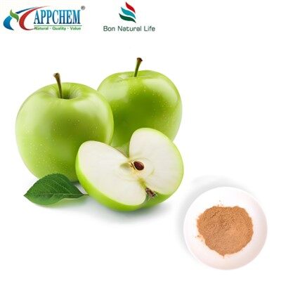 Apple Extract Procyanidin B2 HPLC Test 29106-49-8