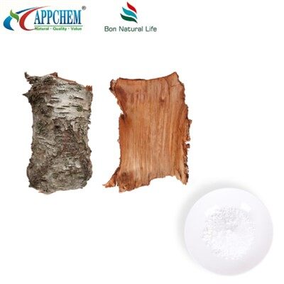 Birch Bark Extract Powder