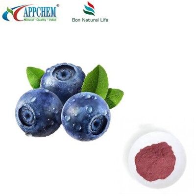 Polvere di succo di mirtillo