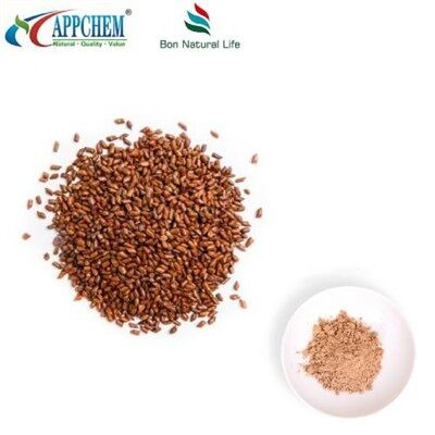 Ekstrè Grenn Cassia