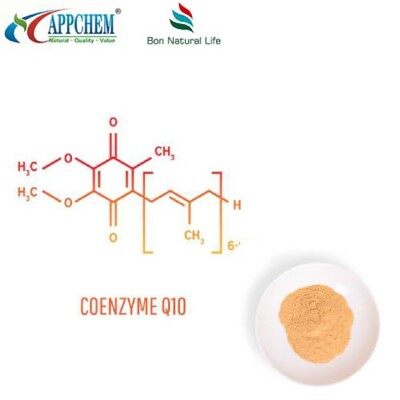 Poenzyme Q10 polvere