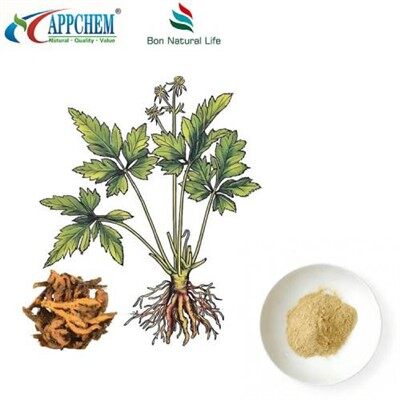 Coptis Root Extract
