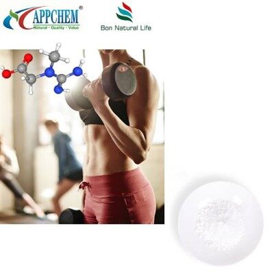 Creatina Monoidrato Bulk Powder