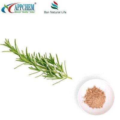 خشک روزمیری پاؤڈر