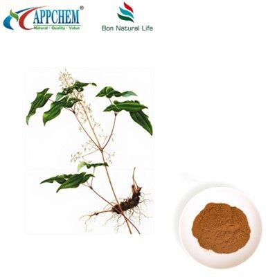 Estratto di epimedium in polvere