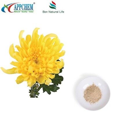 Flos Chrysanthemi estratto in polvere