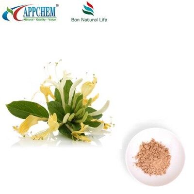 Flos Lonicerae Extract Powder