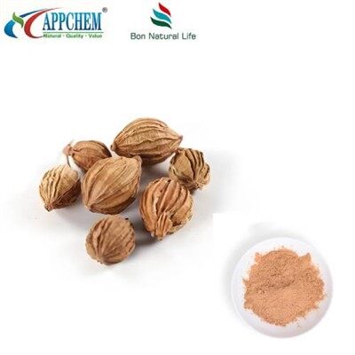 Polvere di estratto di Fructus Amomi