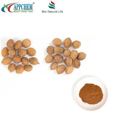 Fructus Amomi Extract