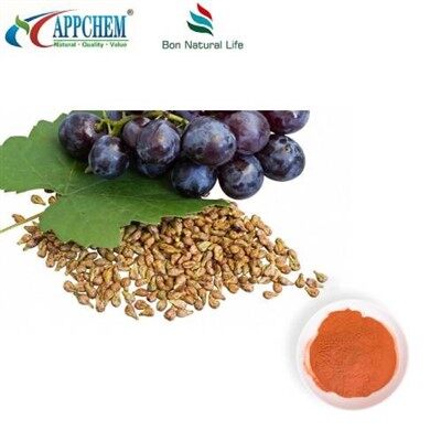 Powdwr Detholiad Hadau Grawnwin Safonol