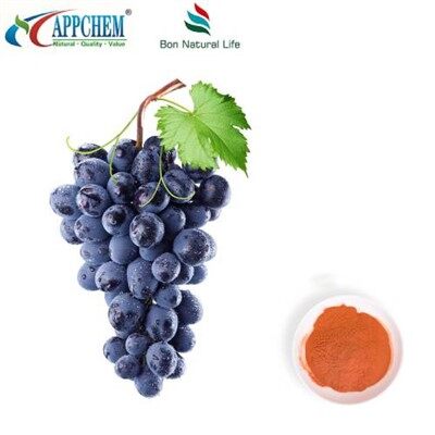 Detholiad Hadau Grawnwin Powdwr 95 Polyffenolau