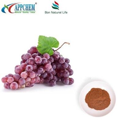 Powdwr Detholiad Croen Grawnwin