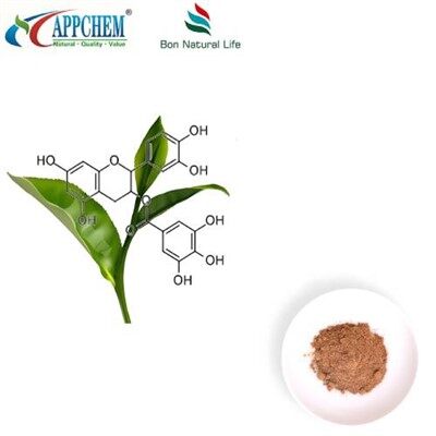 Polifenolo dell'estratto di tè verde
