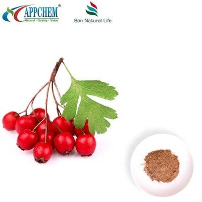 Hawthorn Leaf Extract