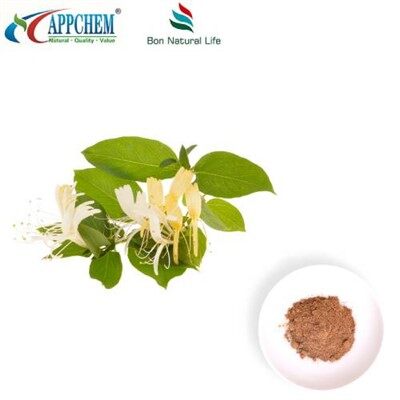 Honeysuckle Flower Extract Powder