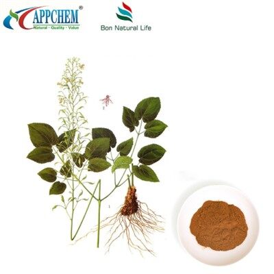 Horny Goat Weed Extract Supplier