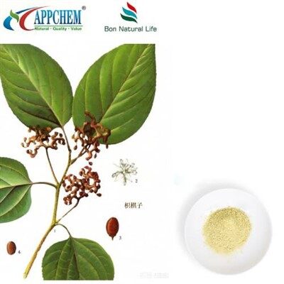 Polvere di estratto di Hovenia Dulcis