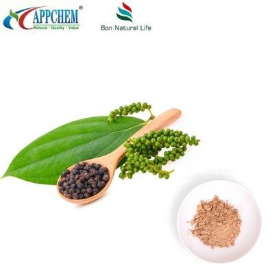 Ligustrum Fruit Extract Powder
