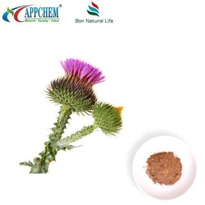 Estratto di semi di cardo mariano