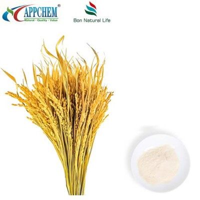 Polvere di acido ferulico naturale