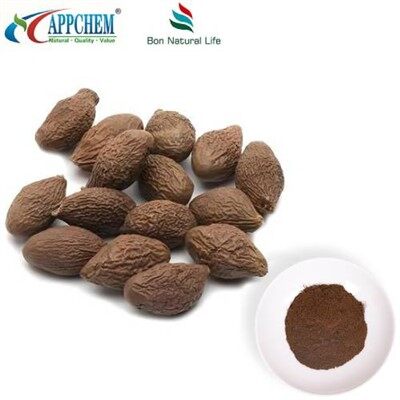 Natural Semen Sterculiae Lychnophorae Extract