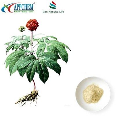 Estratto di Notoginseng Radix et Rhizoma