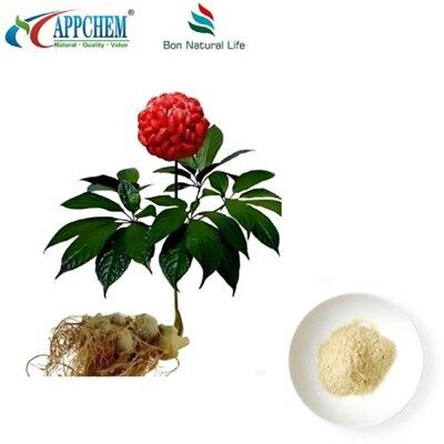 Notoginseng Root Extract