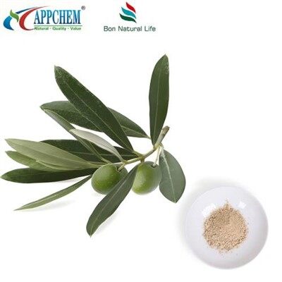Serbuk Ekstrak Daun Zaitun