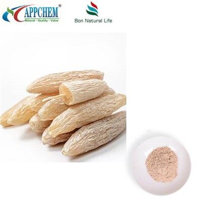 Ophiopogon Root Extract Powder