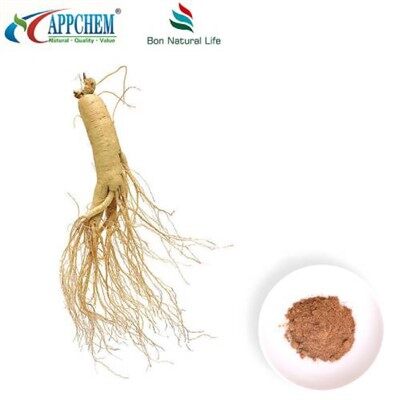 Estratto di panax ginseng in polvere