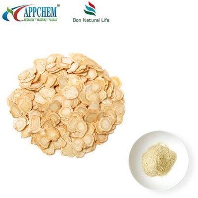 Panax Quinquefolius Extract Powder
