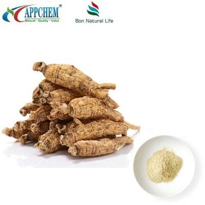 Estratto di Panax Quinquefolius