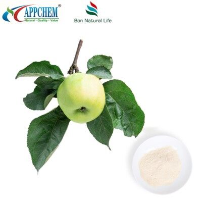 Phlorizin 60-82-1 Ingrediente per la gestione della glicemia