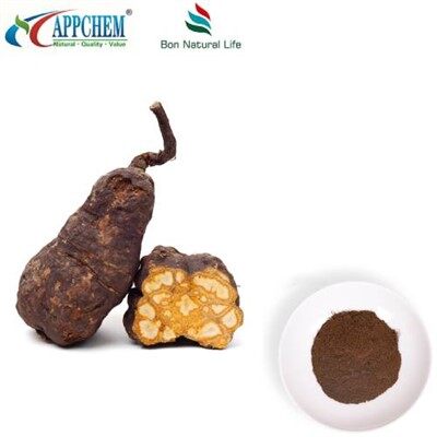 Polygoni Multiflori Preparata ekstrakt u prahu