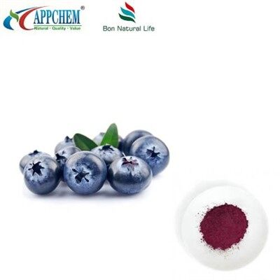 Pure Blueberry Extrait Powder