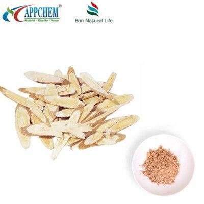 Radix Astragali Extract Powder