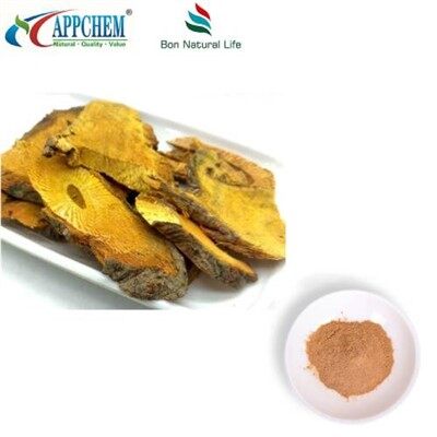 Polvere di estratto di resveratrolo Polygonum Cuspidatum