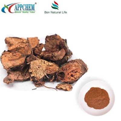 Ekstrakt Rhodiole Rosea u prahu