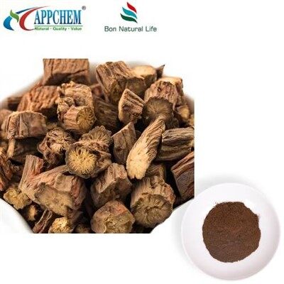 Polvere di estratto di Salvia Miltiorrhiza