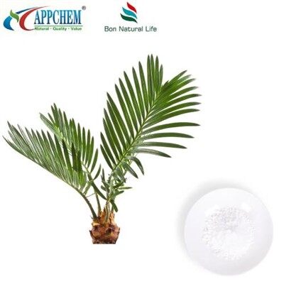 Polvere di estratto di saw palmetto